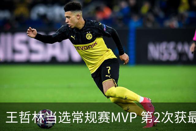 王哲林当选常规赛MVP 第2次获最有价值球员奖